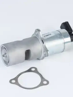 AGR-Ventil WAHLER 710951R Nízká Cena