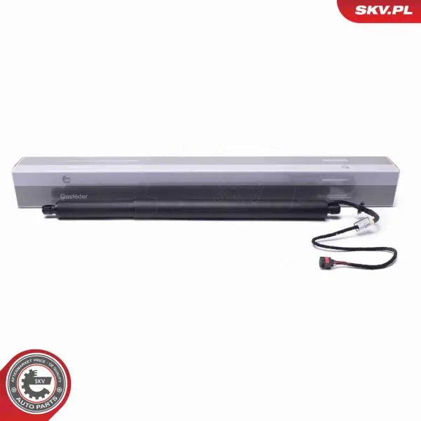 Jen Po Omezenou Doba Elektromotor, zadní dveře ESEN SKV 52SKV950