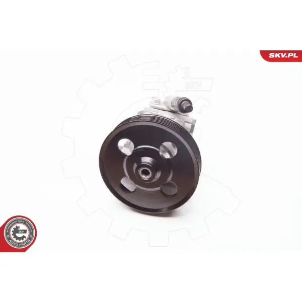 Horká Nabídka Hydraulické čerpadlo, řízení ESEN SKV 10SKV238