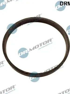 Cenový Hit Těsnění, AGR ventil DR.MOTOR AUTOMOTIVE DRM050