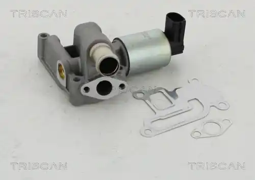 AGR-Ventil TRISCAN 881324003 Nejprodávanější