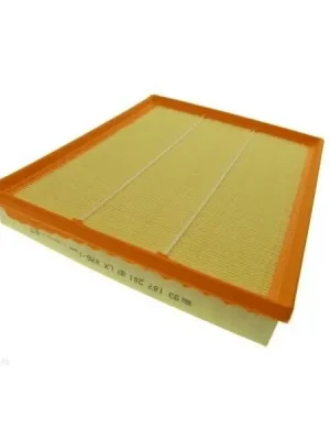 Cenově Výhodný Vzduchový filtr AUTOMEGA 180031610