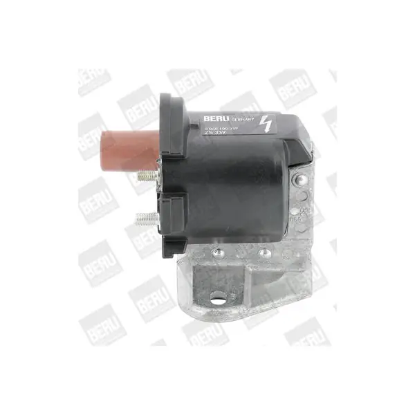 Aktuální Zapalovací cívka BorgWarner (BERU) ZS339
